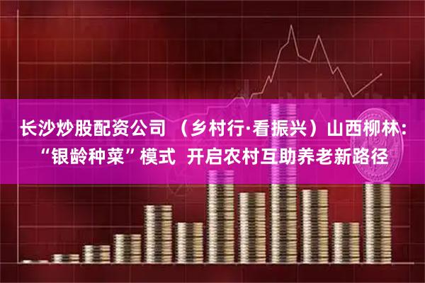 长沙炒股配资公司 (乡村行·看振兴)山西柳林:“银龄种菜”模式 开启农村互助养老新路径