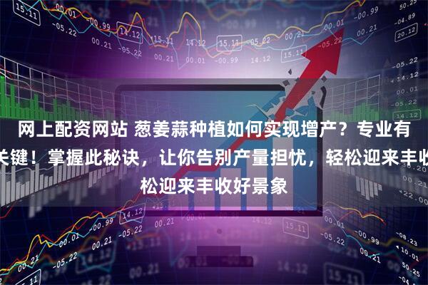 网上配资网站 葱姜蒜种植如何实现增产？专业有机肥是关键！掌握此秘诀，让你告别产量担忧，轻松迎来丰收好景象