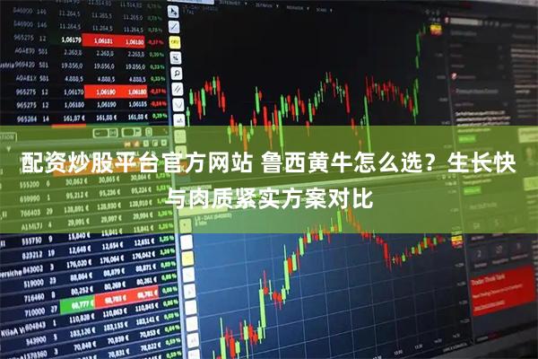 配资炒股平台官方网站 鲁西黄牛怎么选？生长快与肉质紧实方案对比