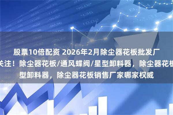 股票10倍配资 2026年2月除尘器花板批发厂家推荐，这些值得关注！除尘器花板/通风蝶阀/星型卸料器，除尘器花板销售厂家哪家权威