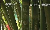“五一”去哪？：快樂出行 文明旅游