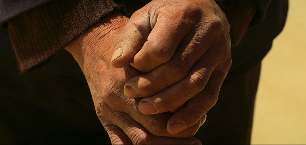 正式發布！《攜手，為人民》中國共產黨與世界政黨領導人峰會暖場片